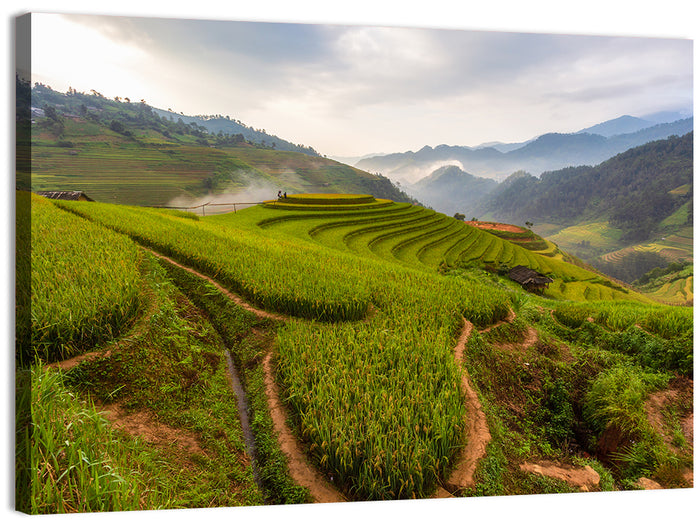Terraced Rice Paddies Wall Art as a canvas print