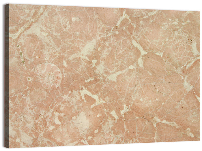 Fossil Veins Marble Study Wall Art as a canvas print