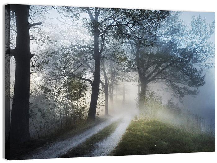 Foggy Forest Path Wall Art as a canvas print