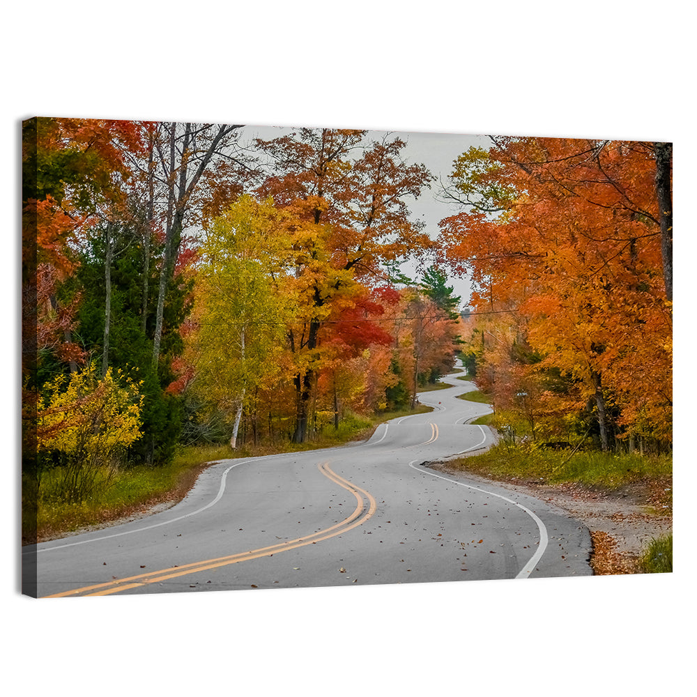 Winding Autumn Highway Wall Art, canvas print, landscape