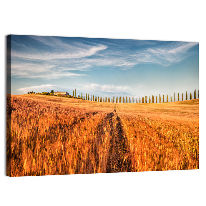 Tuscan Wheat Field Wall Art as a canvas print