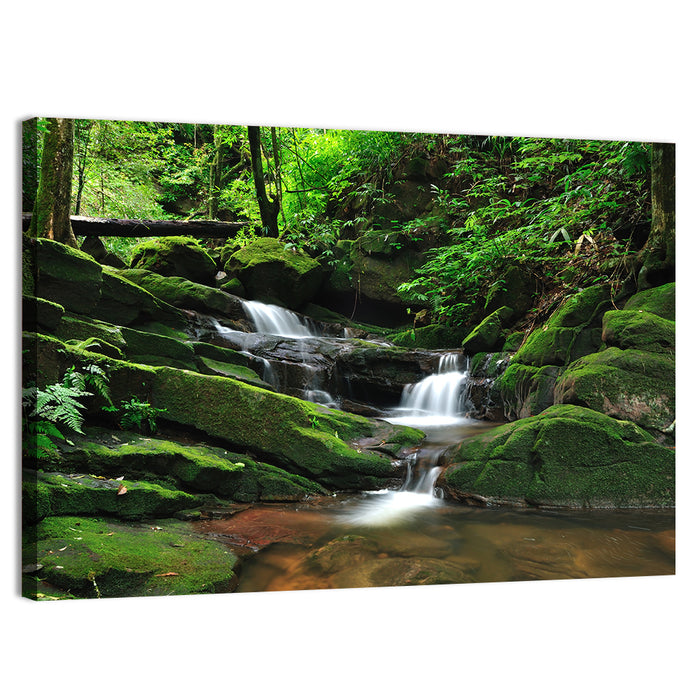 Mossy Rainforest Stream Wall Art as a canvas print