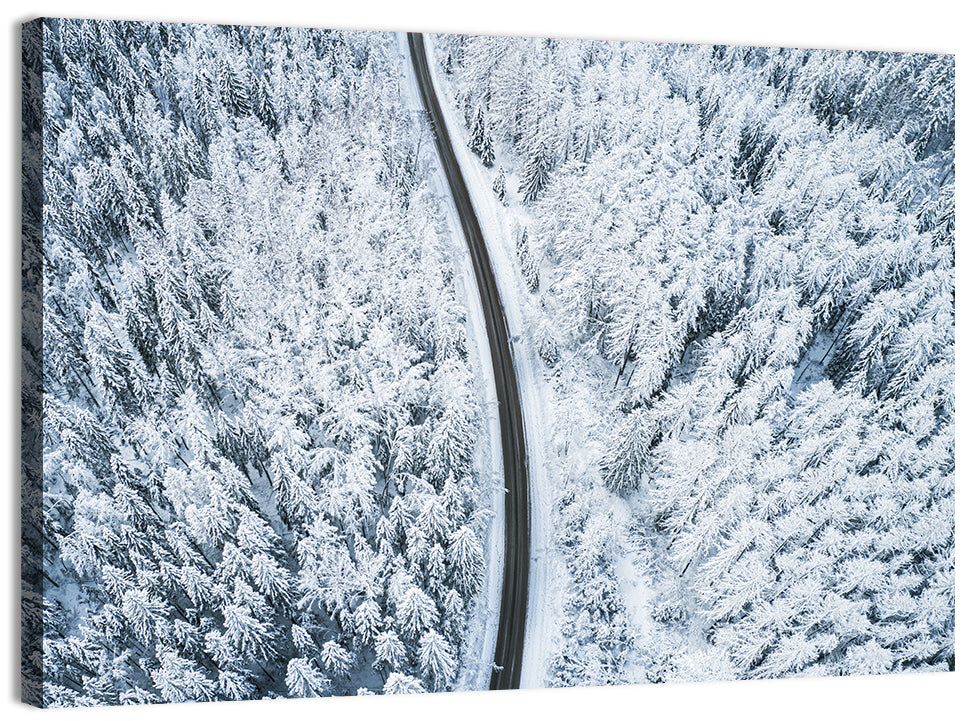 Winding Snow-covered Forest Road Wall Art, canvas print, landscape