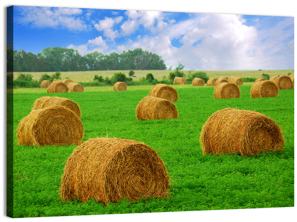 Hay Bales Wall Art