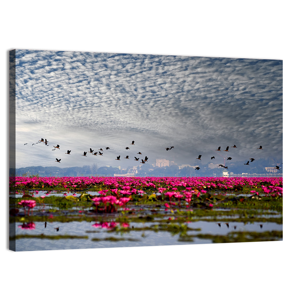 Red Lotus Lake Wall Art, canvas print, landscape