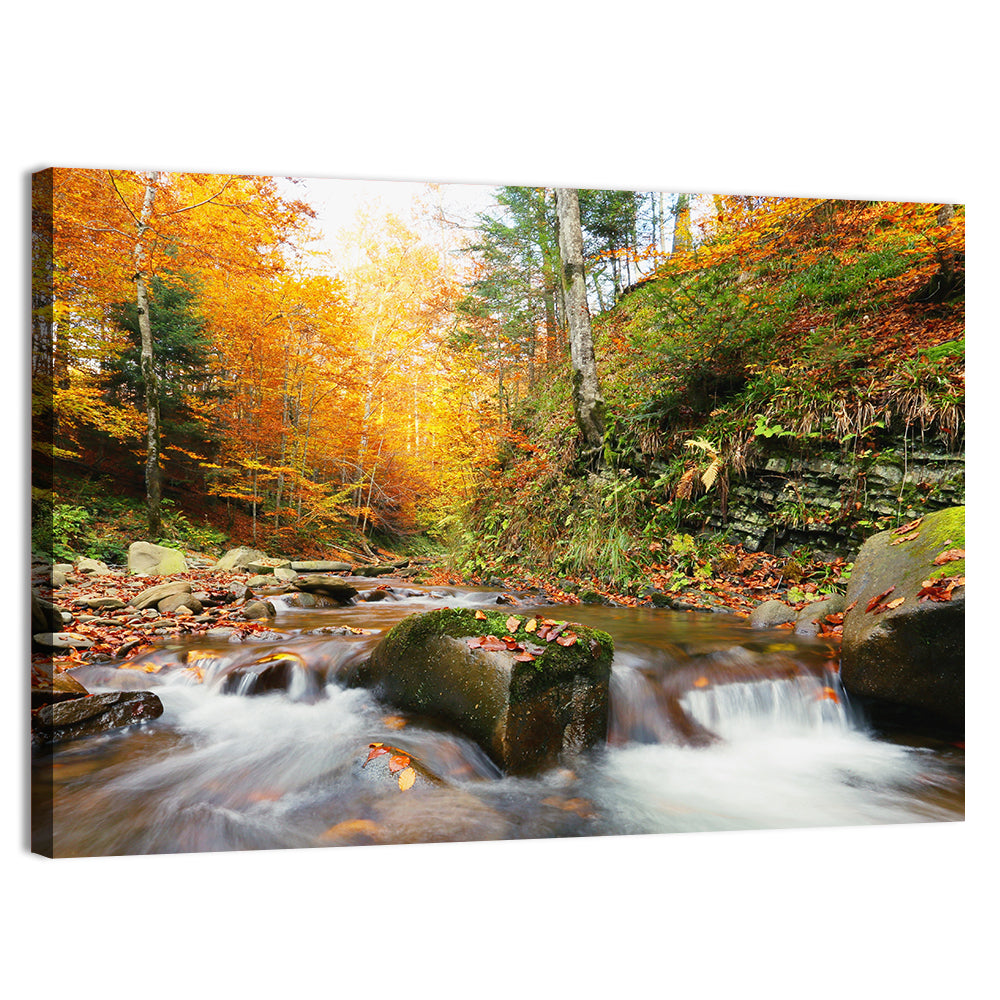 Forest Stream in Autumn Wall Art, canvas print, landscape