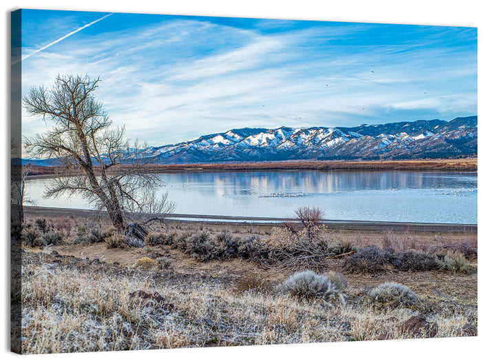 Winter Washoe Lake Morning Wall Art as a canvas print