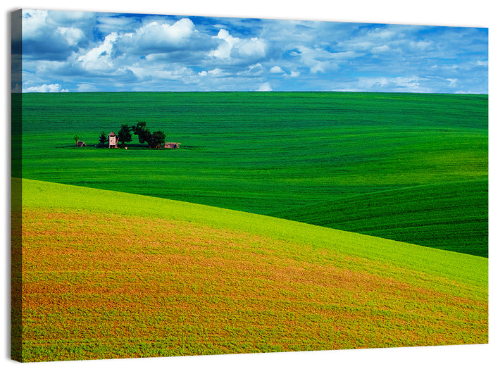 Golden Field and Green Hillside Wall Art as a canvas print