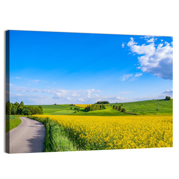 Rapeseed Field Road Under Blue Sky Wall Art as a canvas print
