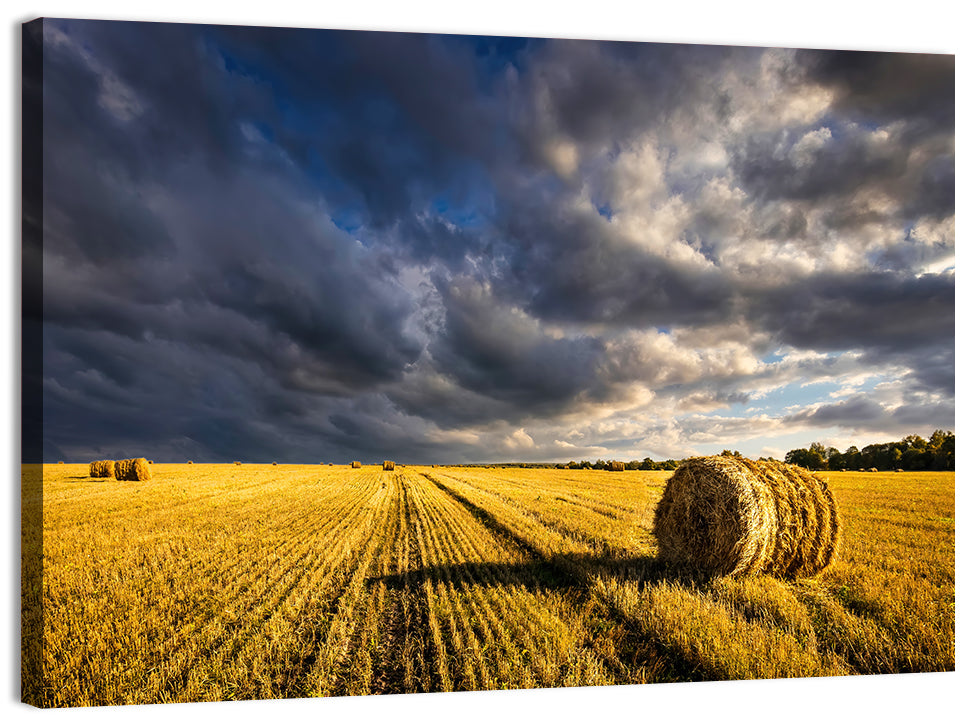 Hay Bale at Golden Hour Wall Art, canvas print, landscape