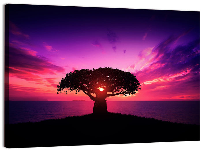 Baobab Sunset Silhouette Wall Art as a canvas print
