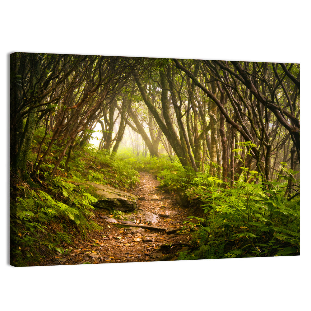 Craggy Gardens Hiking Trail Wall Art, canvas print, landscape