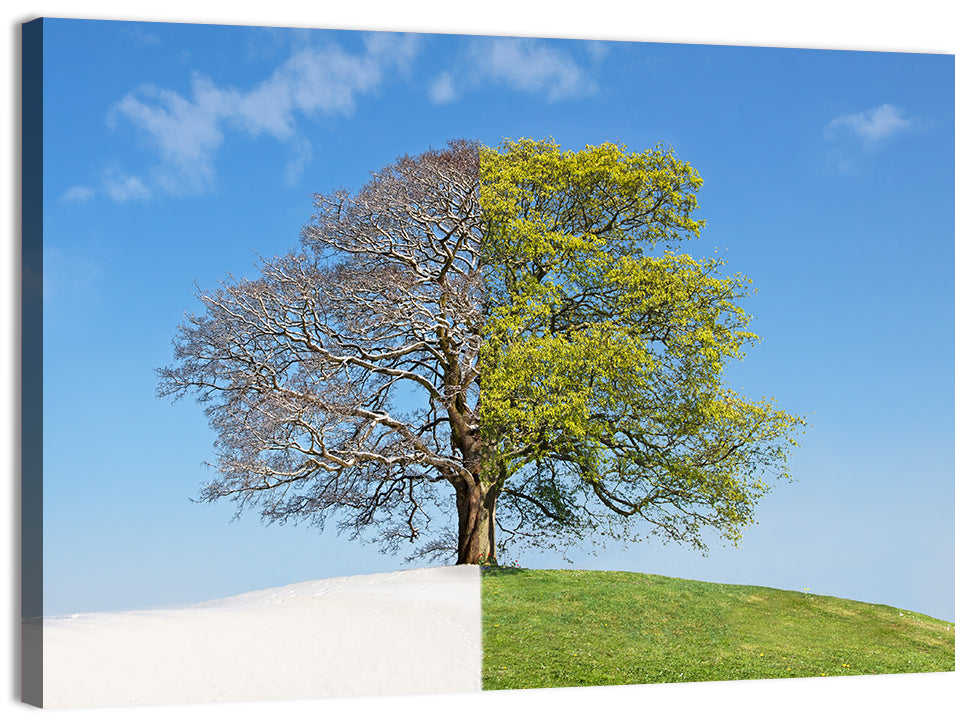 Split Season Tree Landscape Wall Art, canvas print, landscape