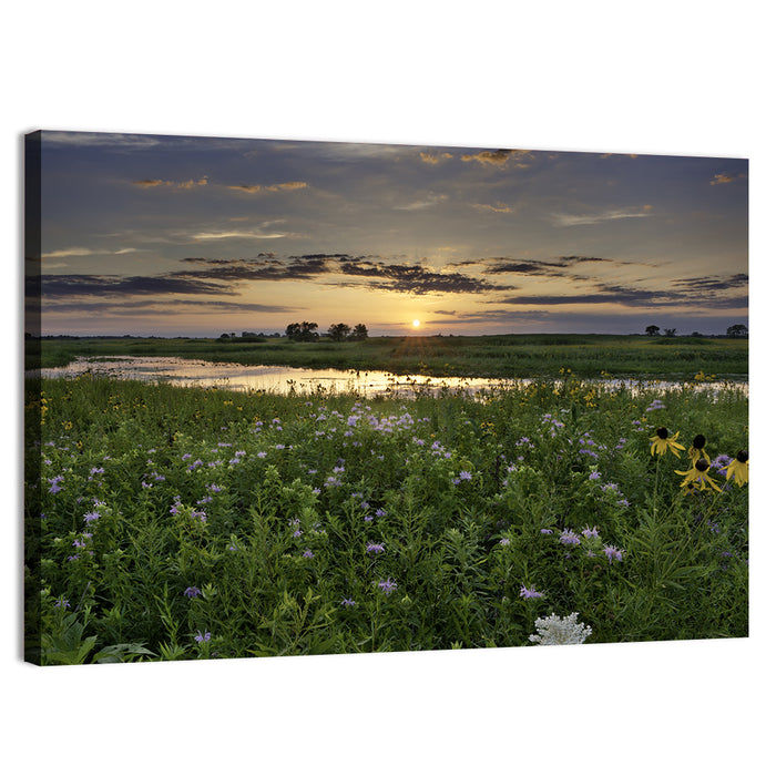 Illinois Fields Sunset Wall Art as a canvas print