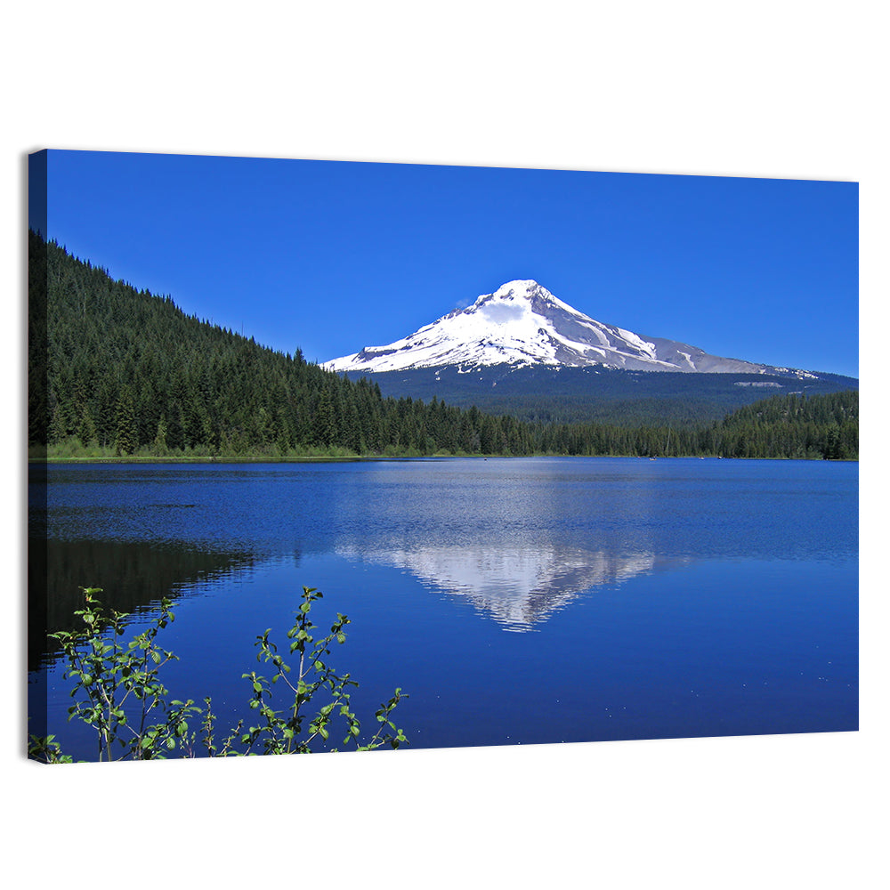 Mount Hood at Trillium Lake Wall Art, canvas print, landscape