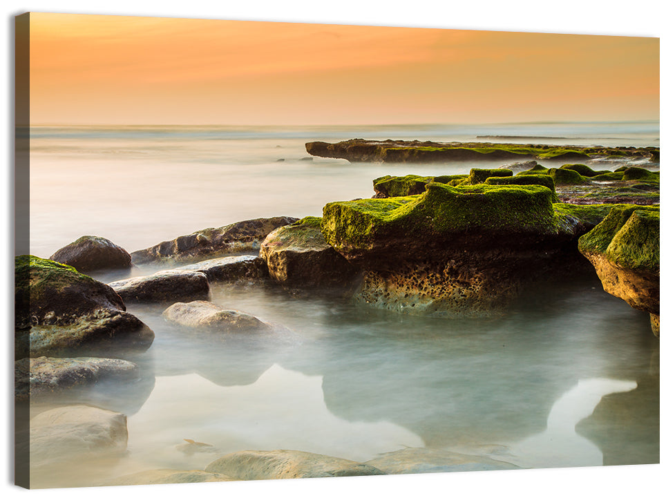 Mossy Rocky Coastline at Golden Hour Wall Art, canvas print, landscape