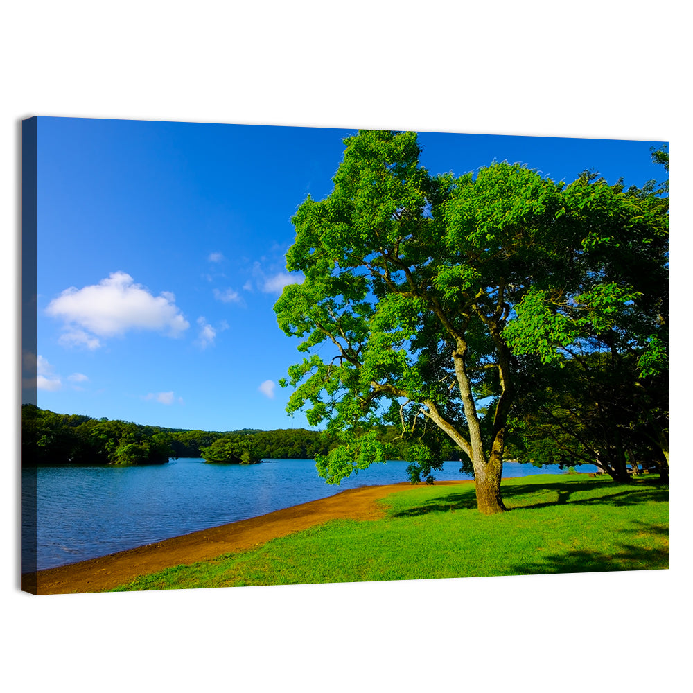 Lake Ippeki Solitary Tree Wall Art, canvas print, landscape