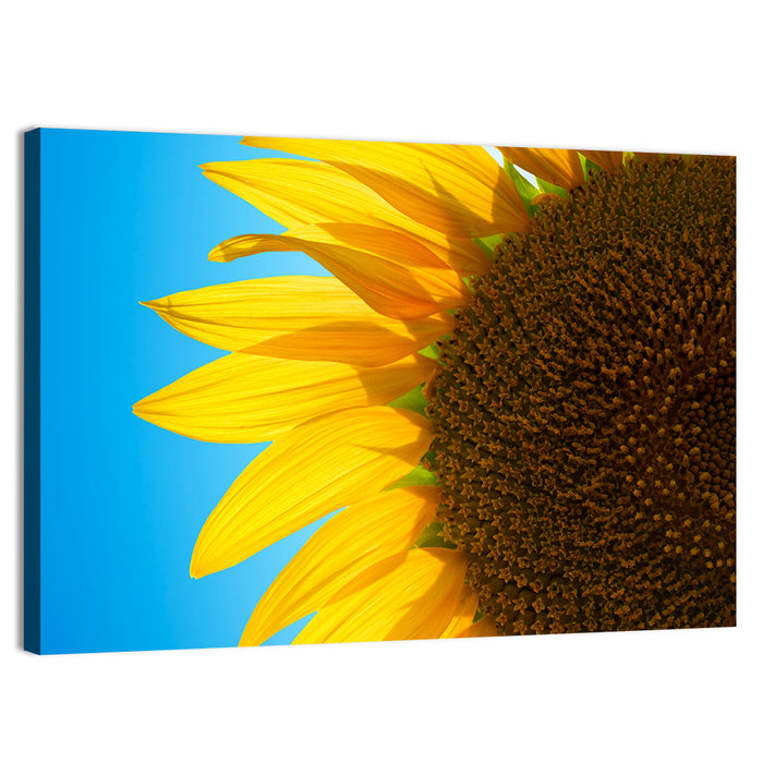 Sunflower Close-up Wall Art as a canvas print