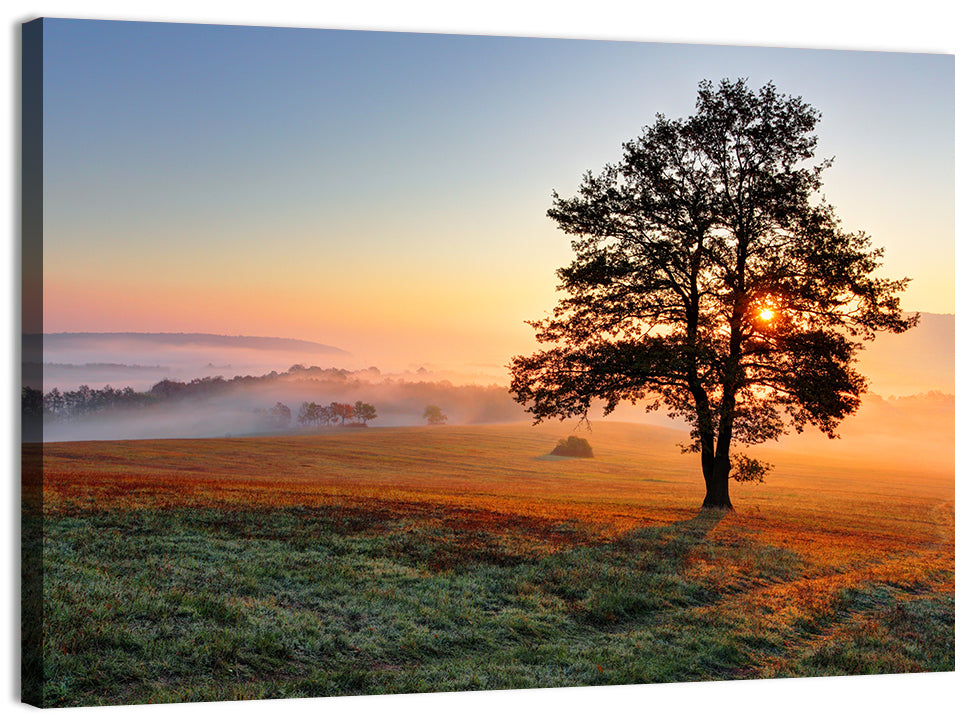 Misty Meadow Sunrise with Lone Tree Wall Art, canvas print, landscape