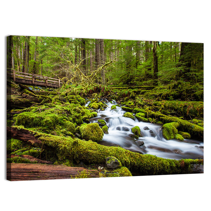 Mossy Cascade Forest Stream Wall Art as a canvas print