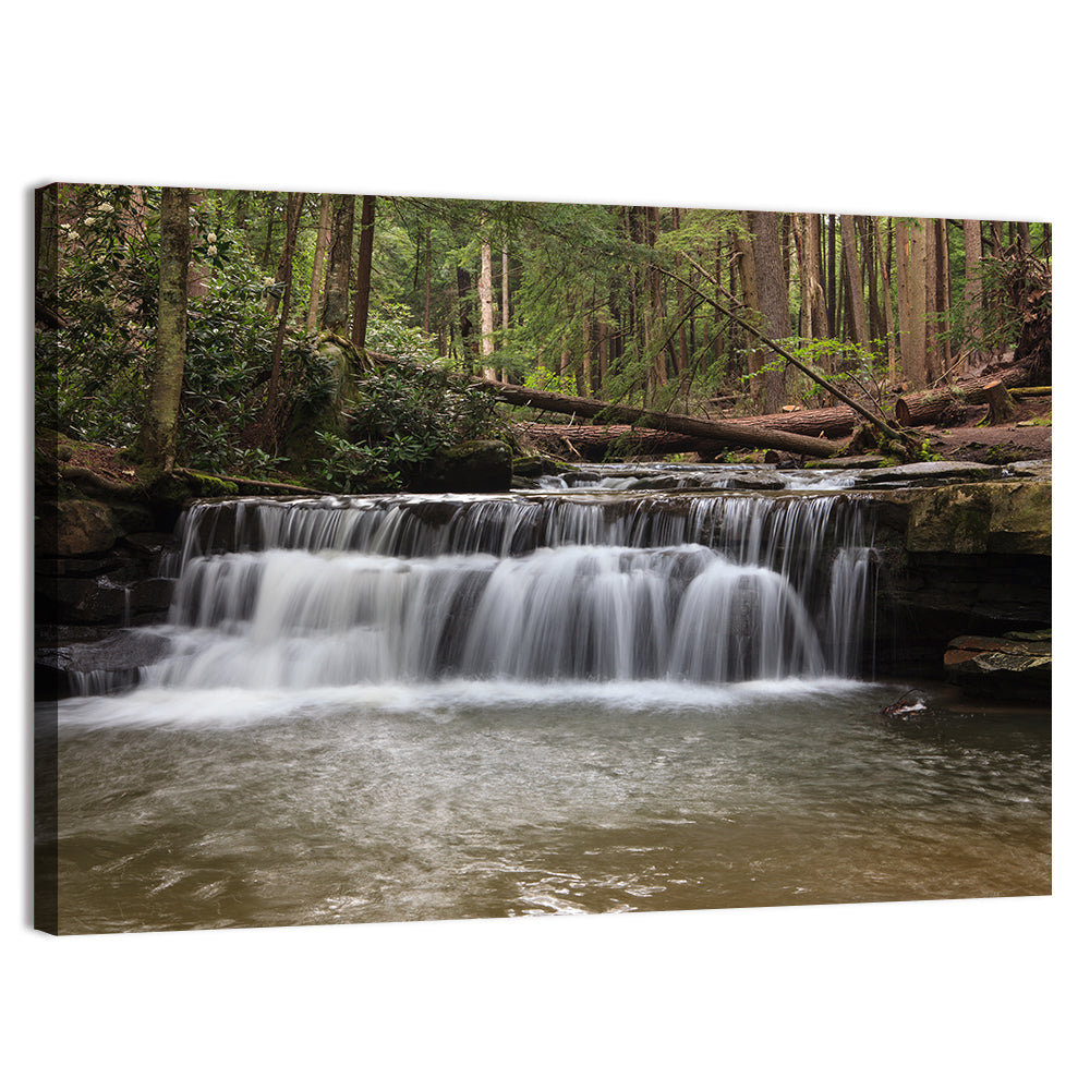 Tolliver Waterfall Wall Art, canvas print, landscape