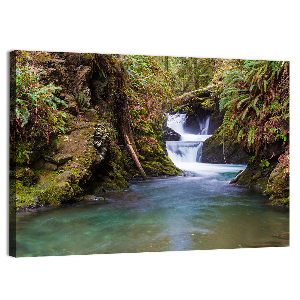 Willaby Creek Waterfall Wall Art, canvas print, landscape