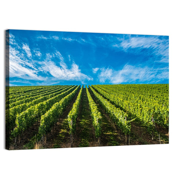 Luxembourg Vineyards Wall Art as a canvas print