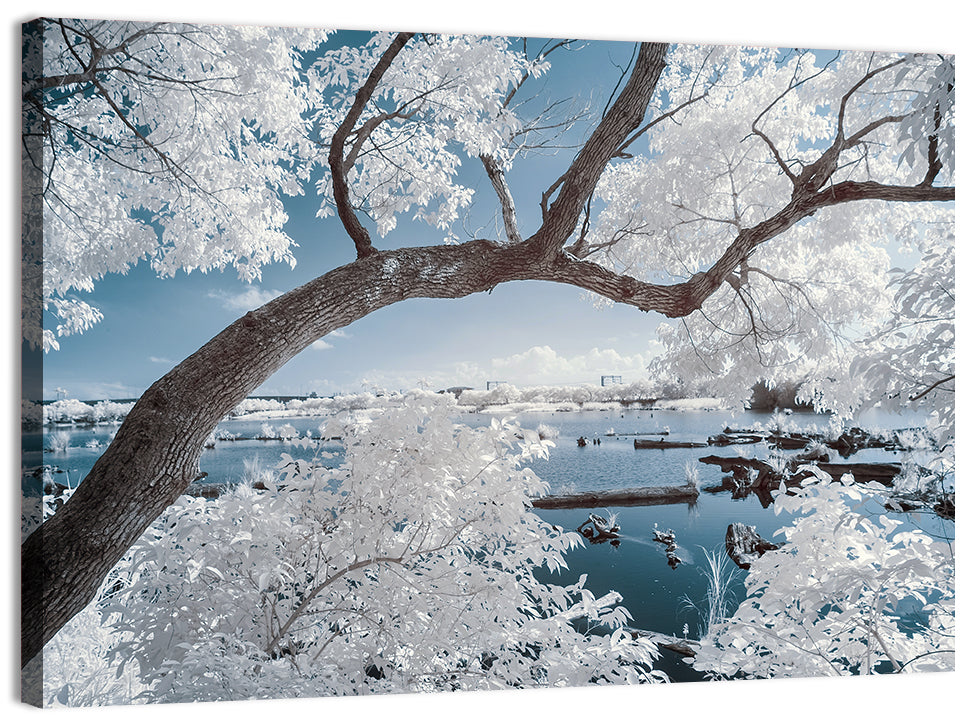 Curving Winter Tree Over Lake Wall Art, canvas print, landscape