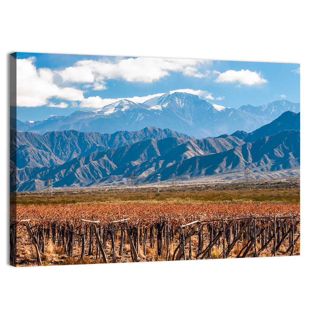 Vineyard Below Aconcagua Wall Art, canvas print, landscape