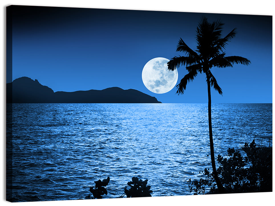 Moonlit Tropical Shore Silhouette Wall Art, canvas print, landscape