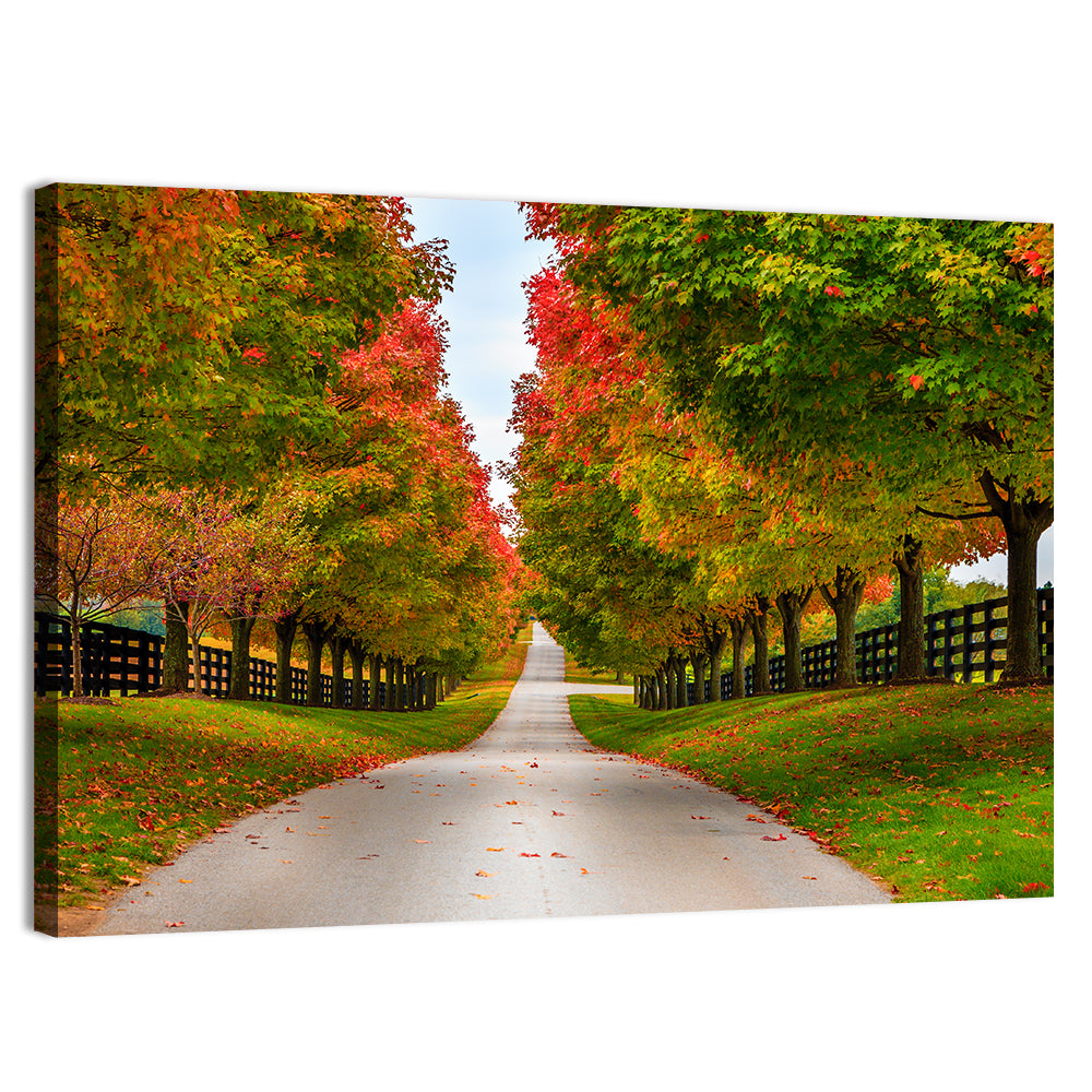 Tree-lined Farm Lane, Kentucky Wall Art, canvas print, landscape