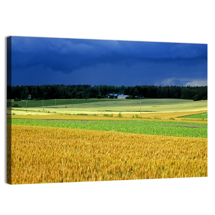 Cornfields Under Stormy Sky Wall Art as a canvas print
