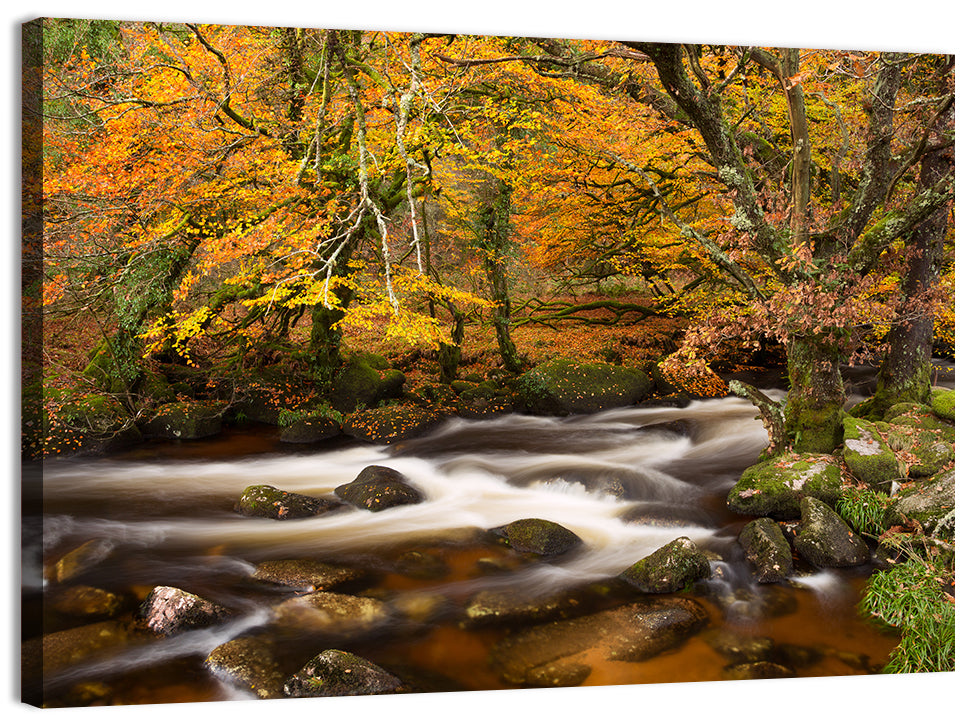 Dartmoor Autumn River in Golden Forest Wall Art, canvas print, landscape
