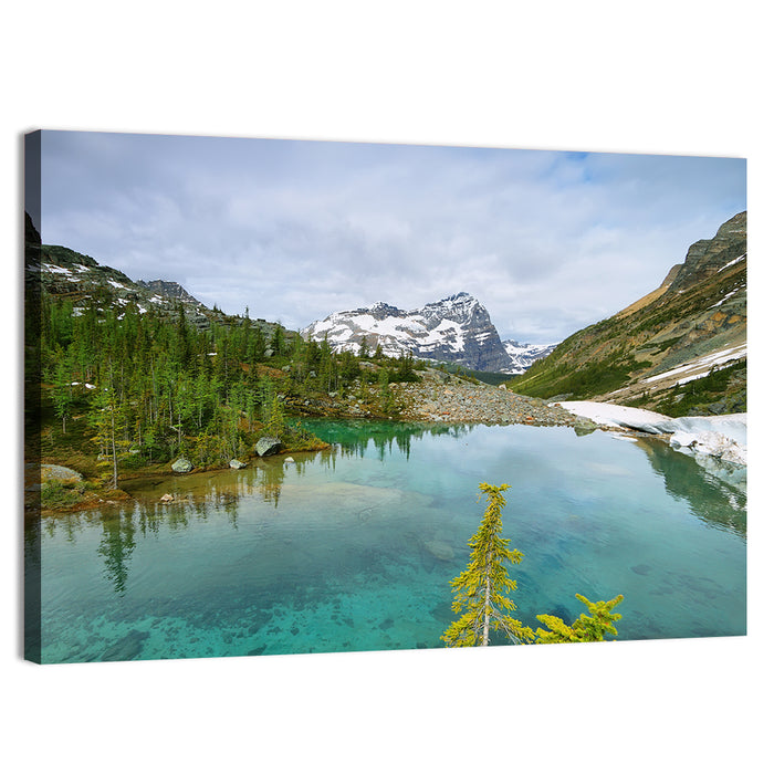 Lefroy Lake Wall Art as a canvas print