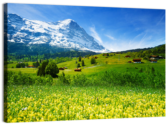 Alps Floral Field Wall Art