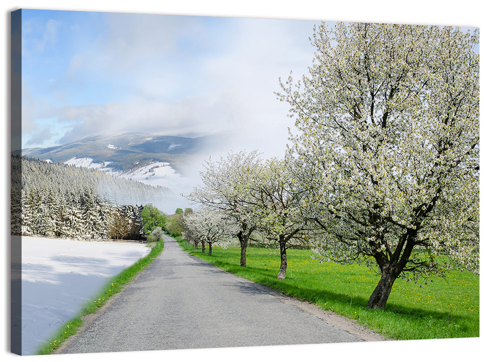 Season Change Road to Snowy Mountain Wall Art, canvas print, landscape