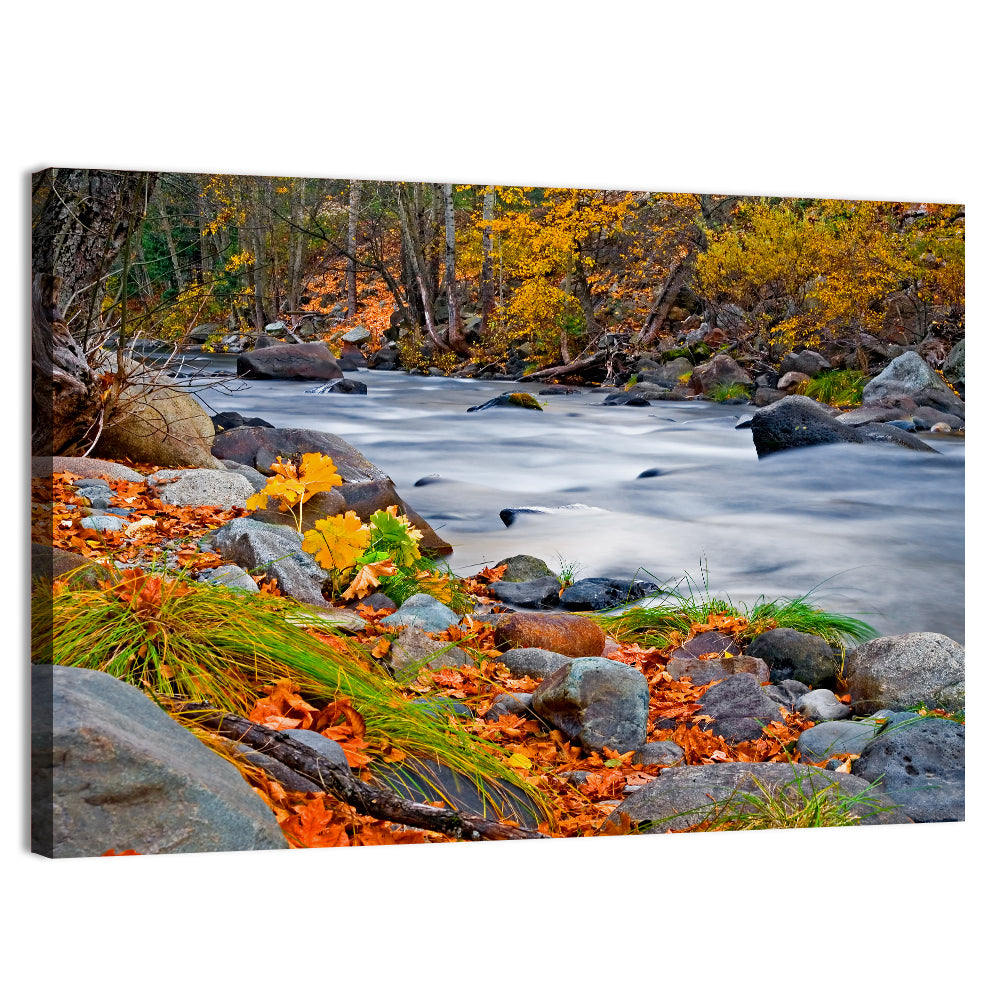 Golden Autumn Forest Creek Wall Art, canvas print, landscape