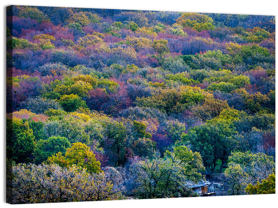 Autumn Canopy Forest with Cabin Roof Wall Art, canvas print, landscape