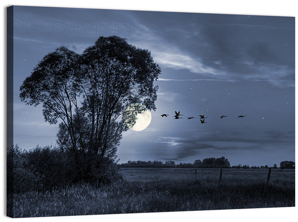 Moonlit Birds Over Quiet Field Wall Art, canvas print, landscape