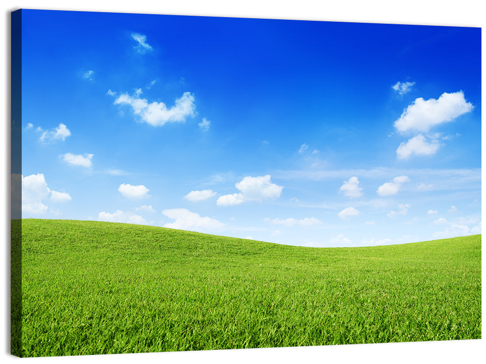 Rolling Green Meadow Under Blue Sky Wall Art, canvas print, landscape