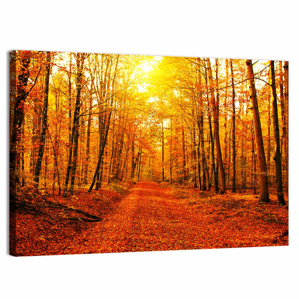 Golden Autumn Forest Path Wall Art, canvas print, landscape