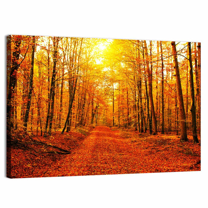 Golden Autumn Forest Path Wall Art as a canvas print