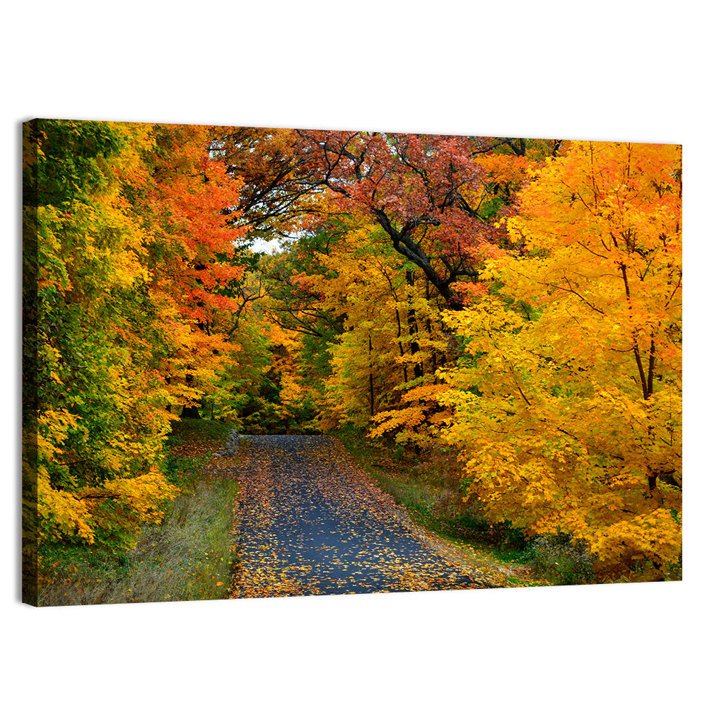 Autumn Road Through Wisconsin Park Wall Art, canvas print, landscape