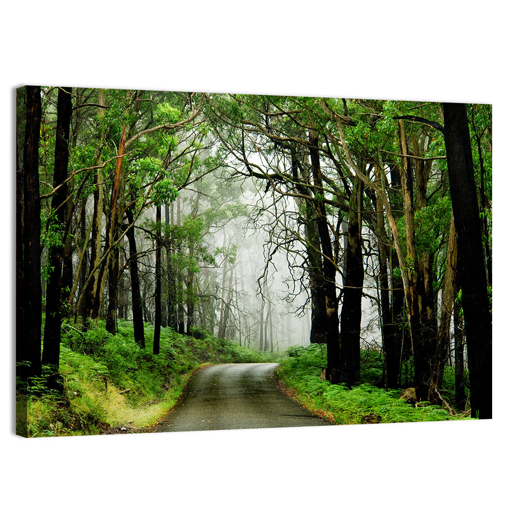 Misty Eucalyptus Road Wall Art, canvas print, landscape