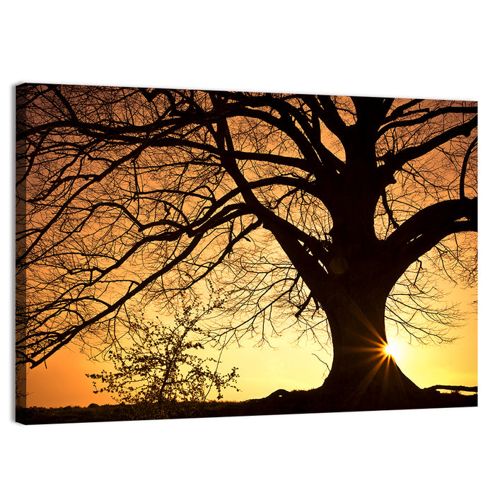 Willow Tree Sunset Wall Art as a canvas print