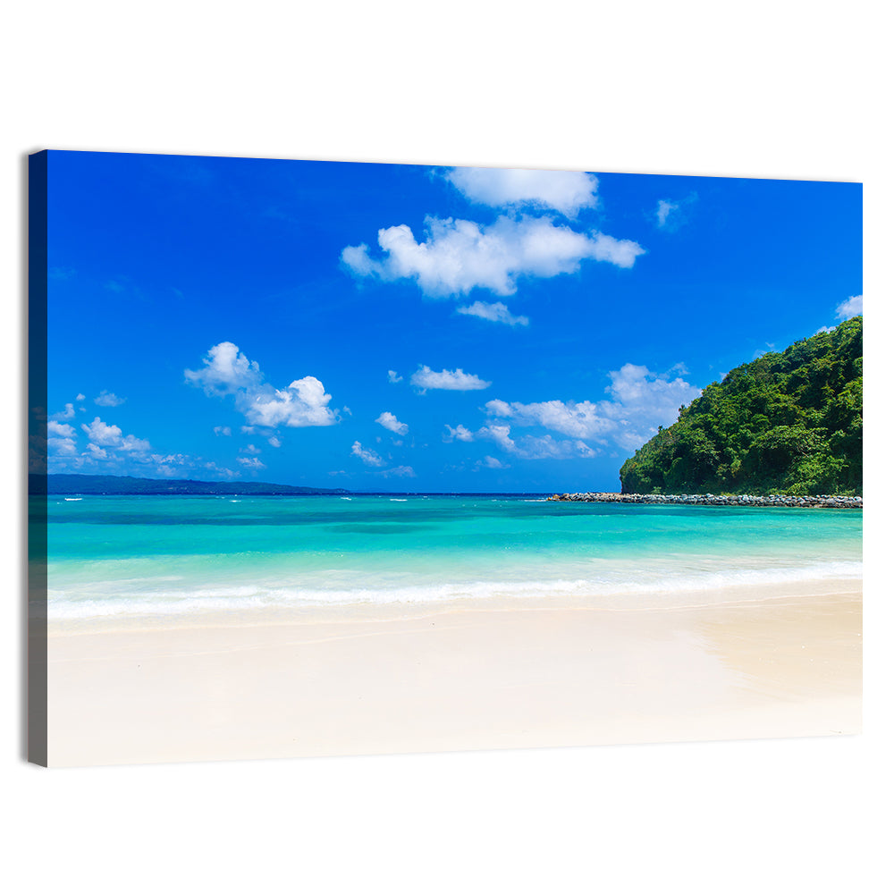 Turquoise Tropical Beach Scene Wall Art, canvas print, landscape