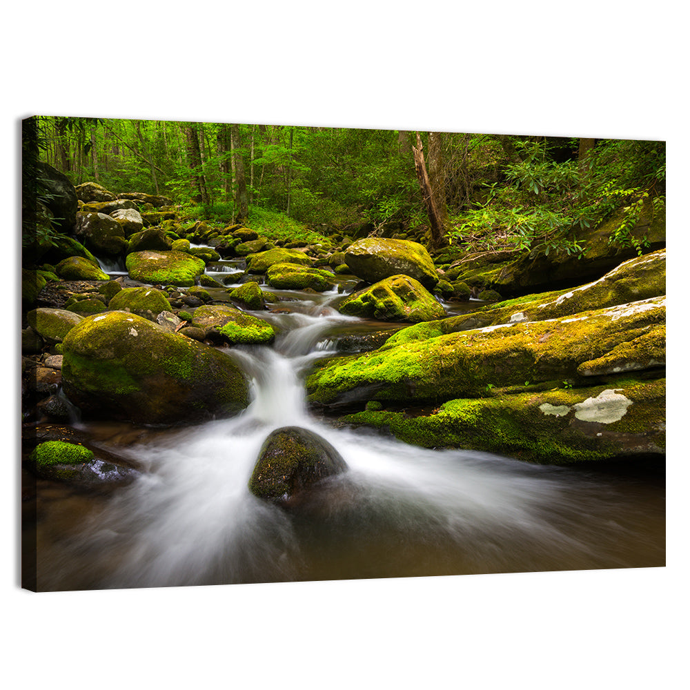 Mossy Forest Stream Wall Art, canvas print, landscape