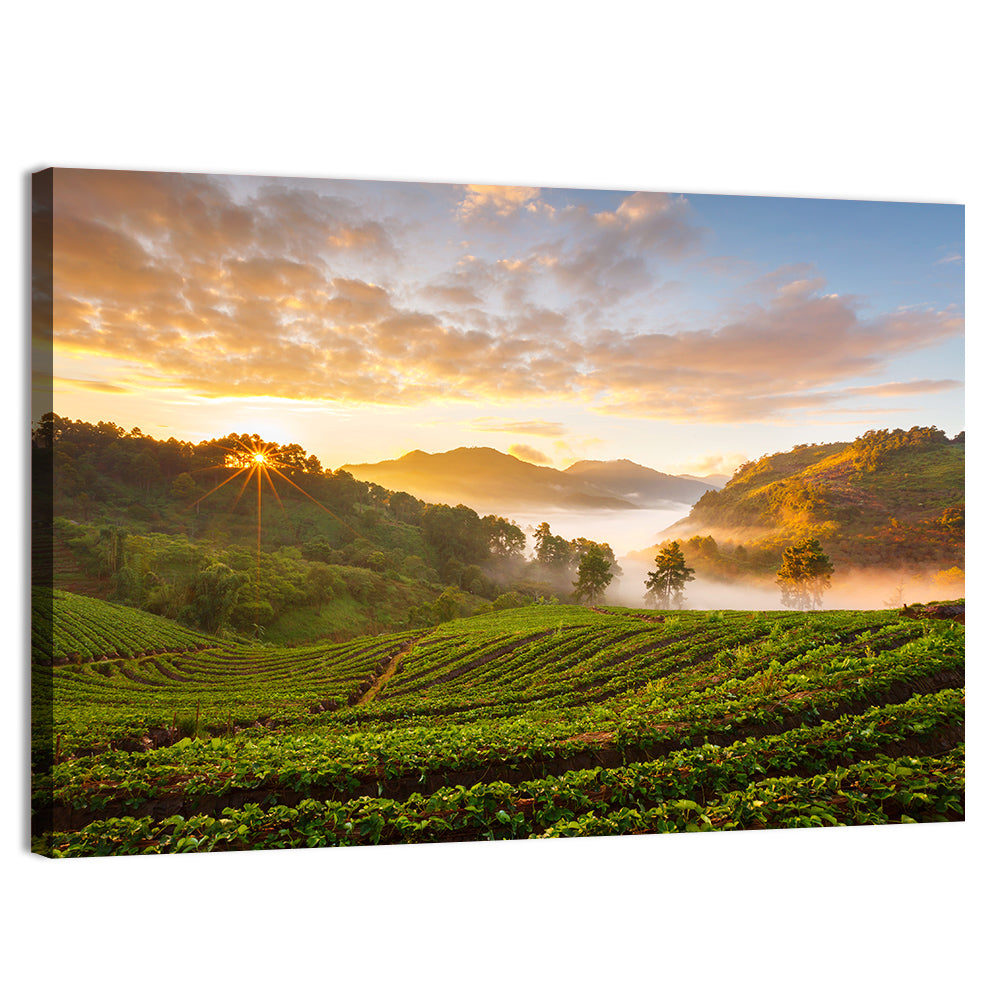 Strawberry Fields Sunrise Wall Art, canvas print, landscape