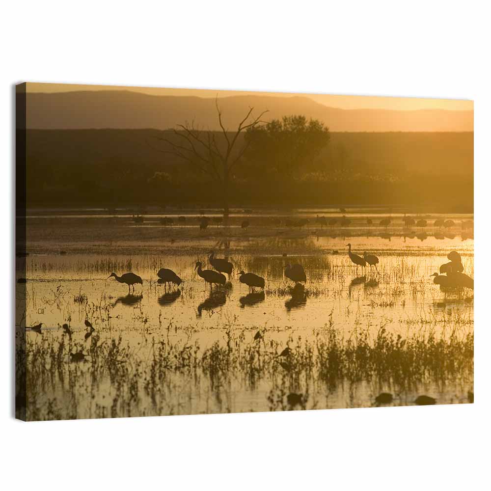 Sandhill Cranes On Lake Wall Art