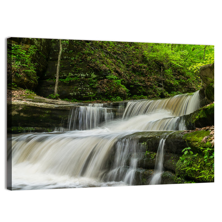 Matthiessen Forest Cascade Wall Art